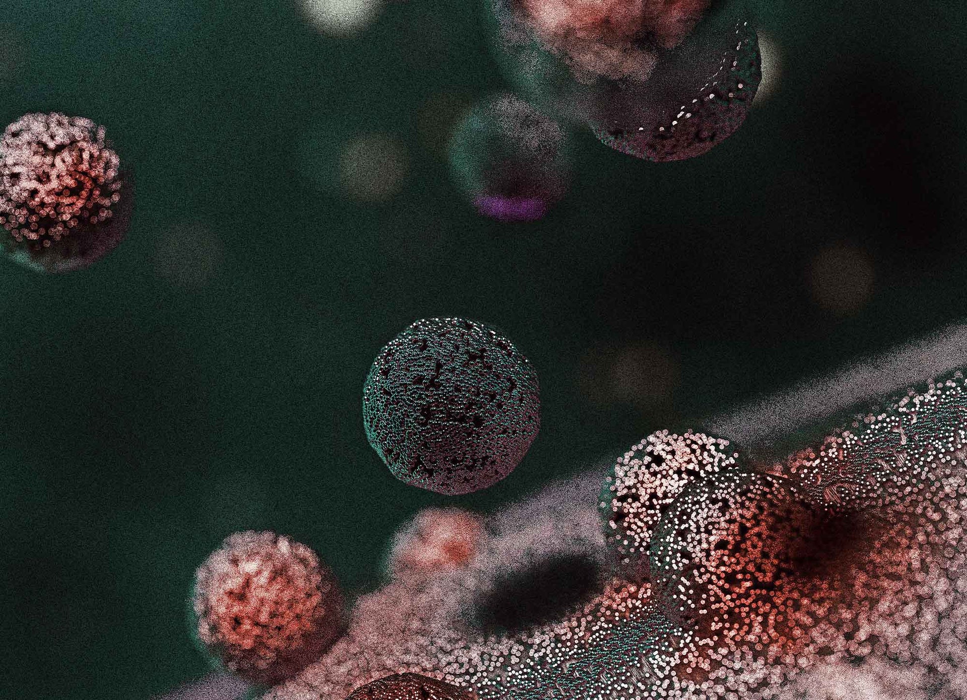 BIOLOGICS IN SKINCARE - Are the benefits worth the risks?