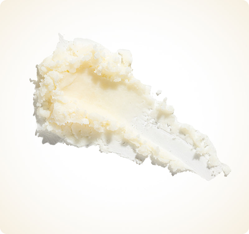 Mangifera Indica Seed Butter