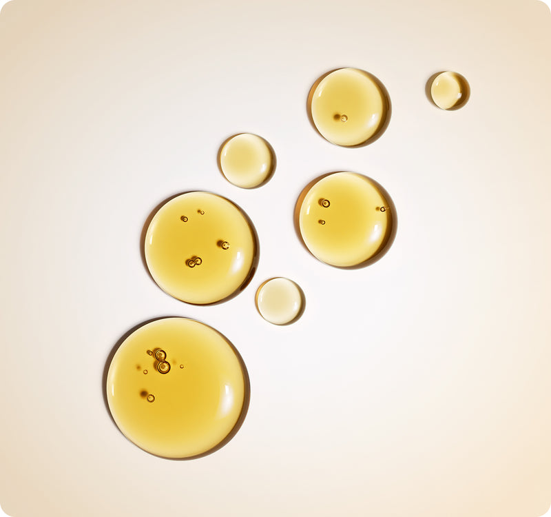 Persea Gratissima Oil