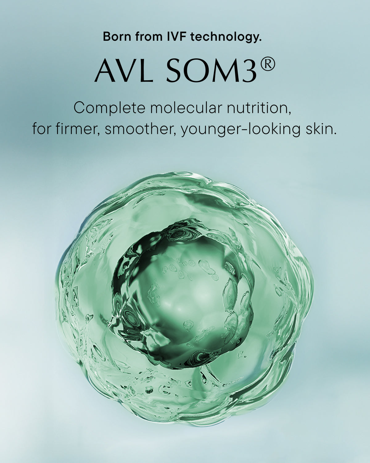 AVL Essentials Duo Rich
