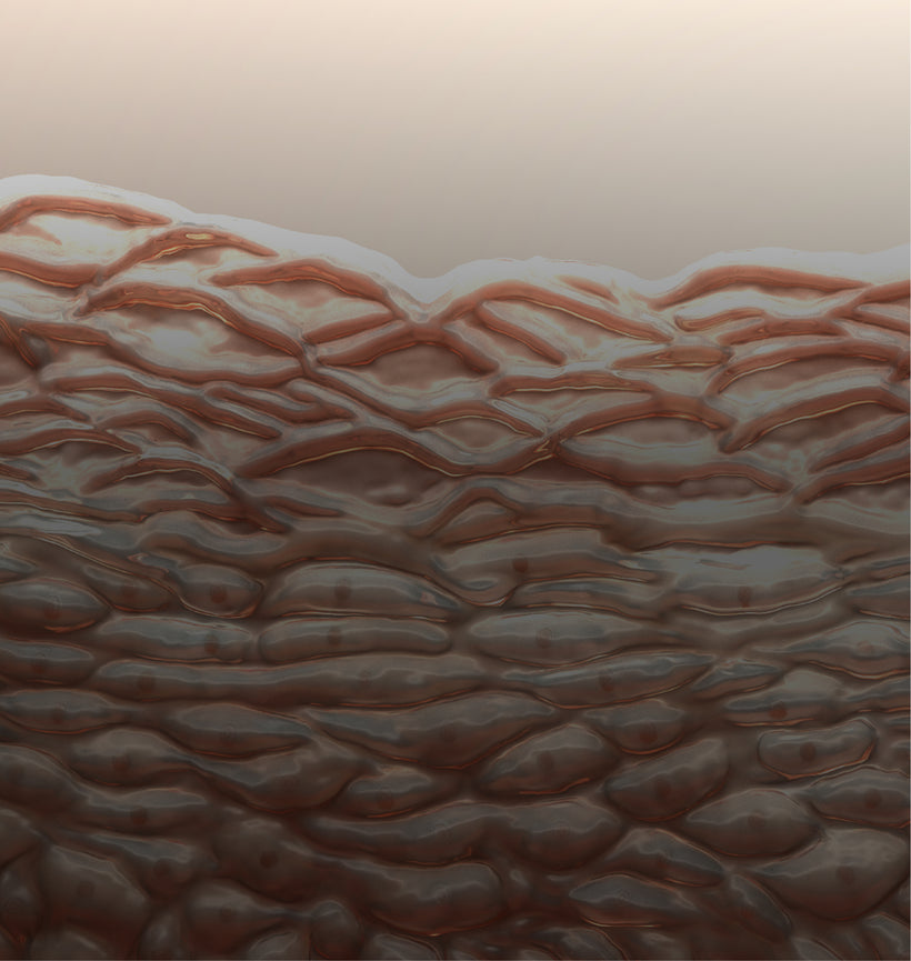 Collagen