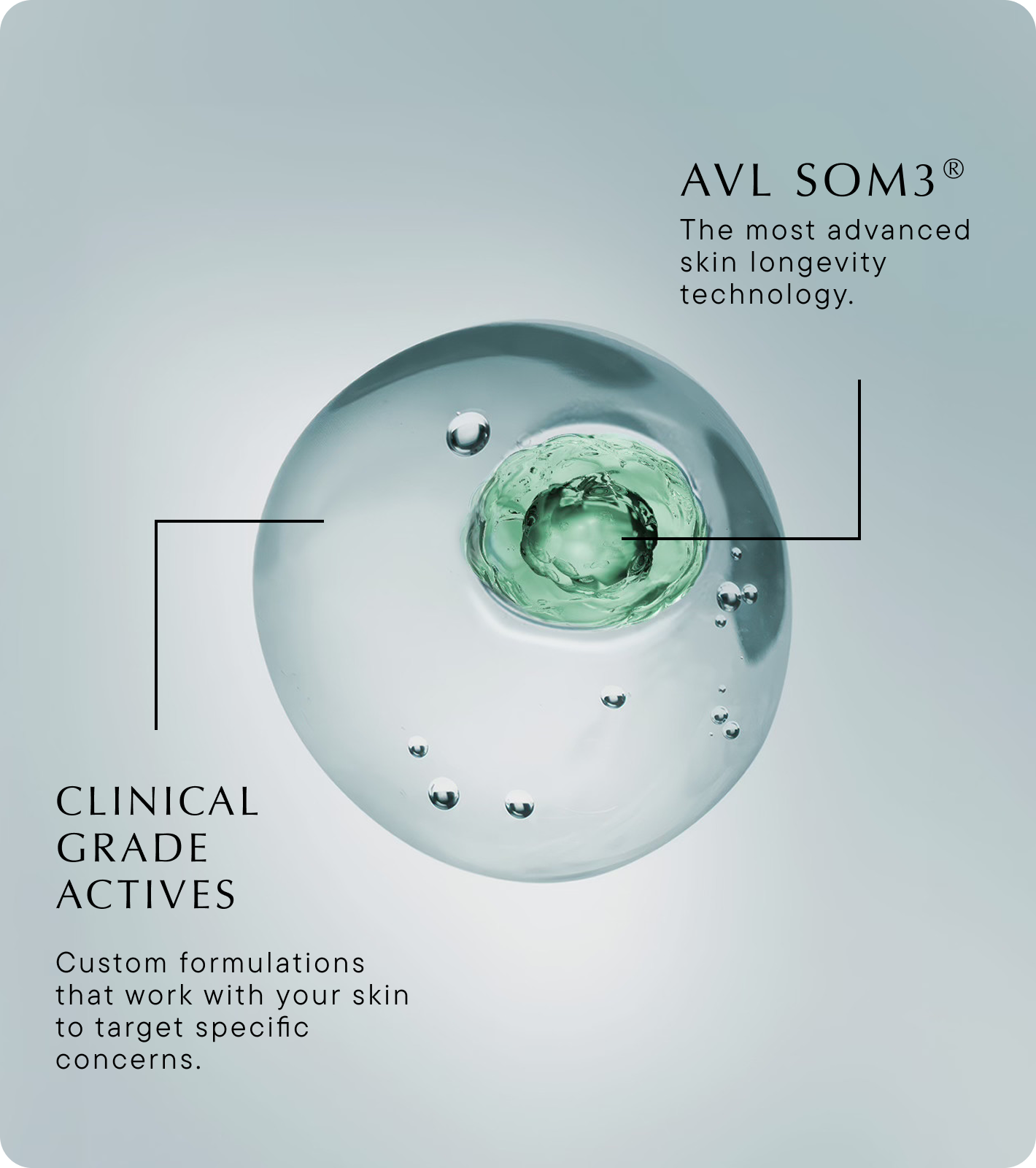 AVL Formulation